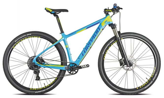 Jalgratas Ribot C