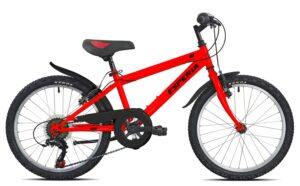 Laste jalgratas 20 tolli Esperia HAPPY E9200C (pikkusele 115-135 cm)